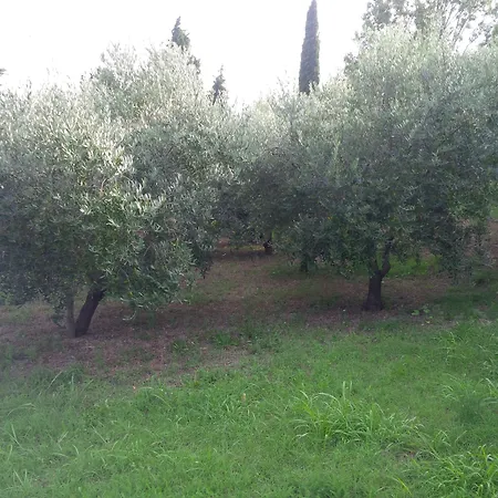 Soncne Terase Apartma