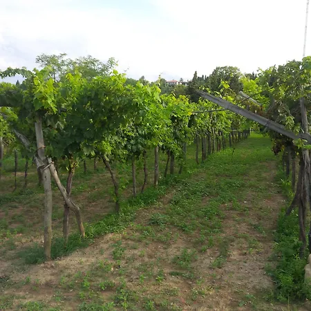 Apartma Soncne Terase Piran