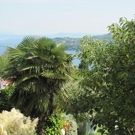 Soncne Terase Apartma *