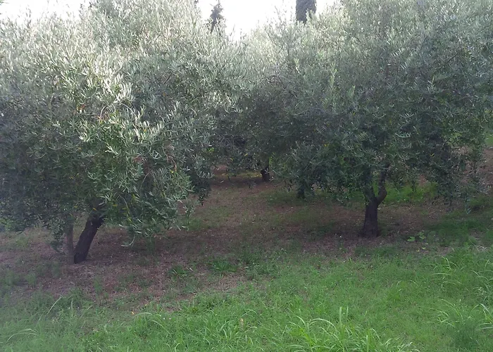 Soncne Terase Διαμέρισμα