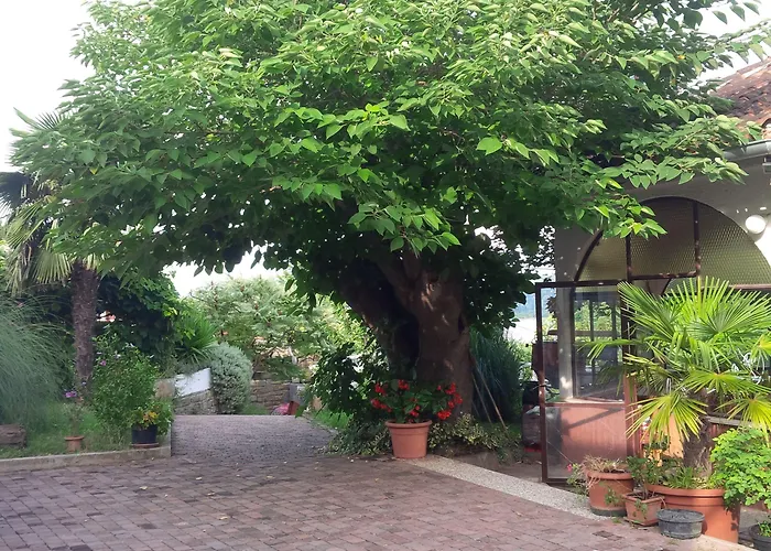 Soncne Terase Διαμέρισμα